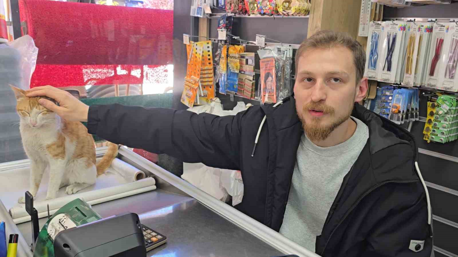 Rize&rsquo;de kedi ile esnafın dostluğu
