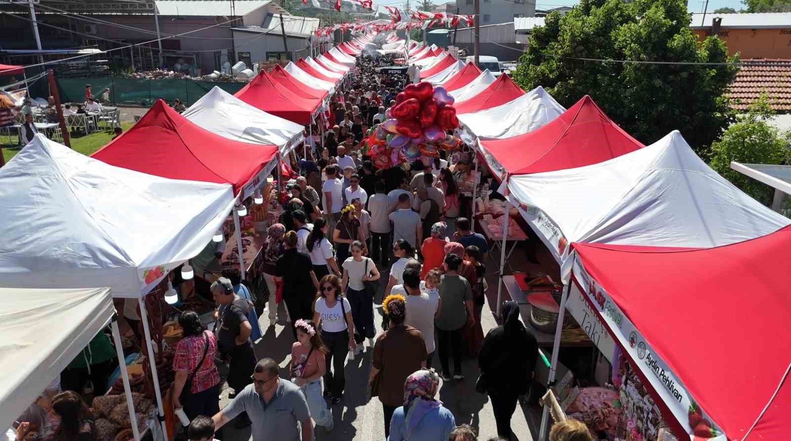 Çilek tadında festival, milyonu aşkın misafir ağırladı