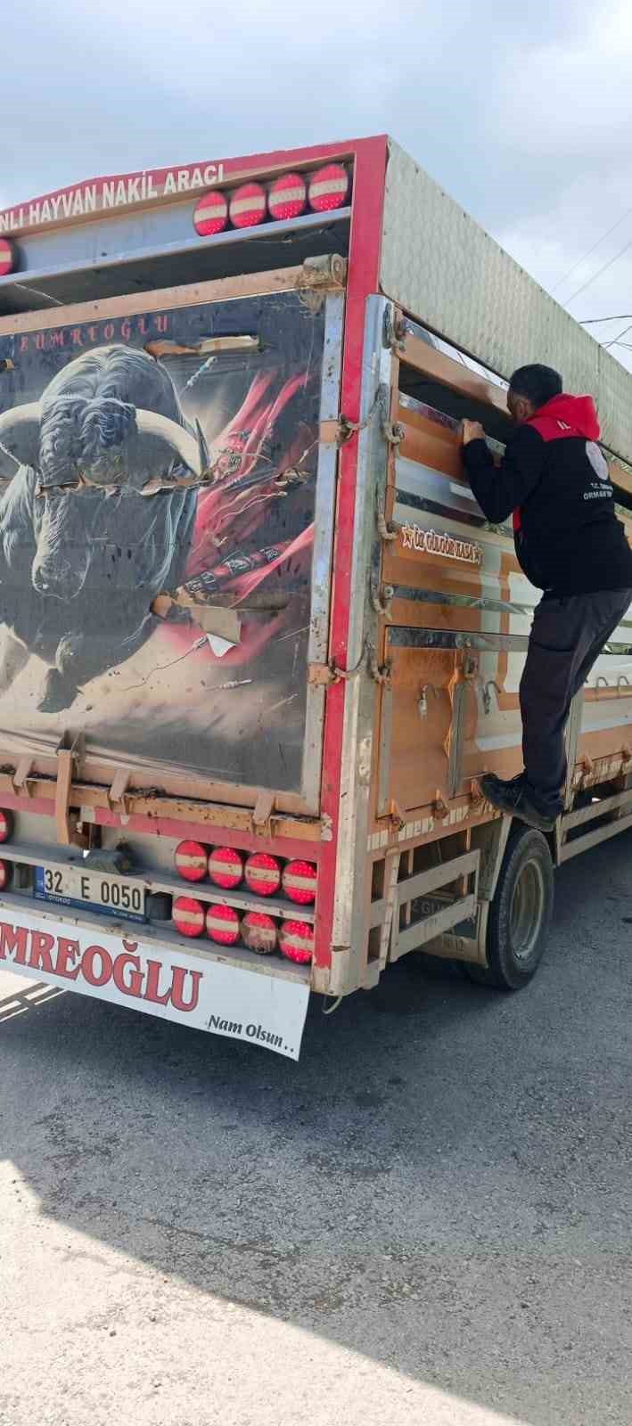 Eğirdir’de bayram öncesi hayvan sevklerine sıkı denetim