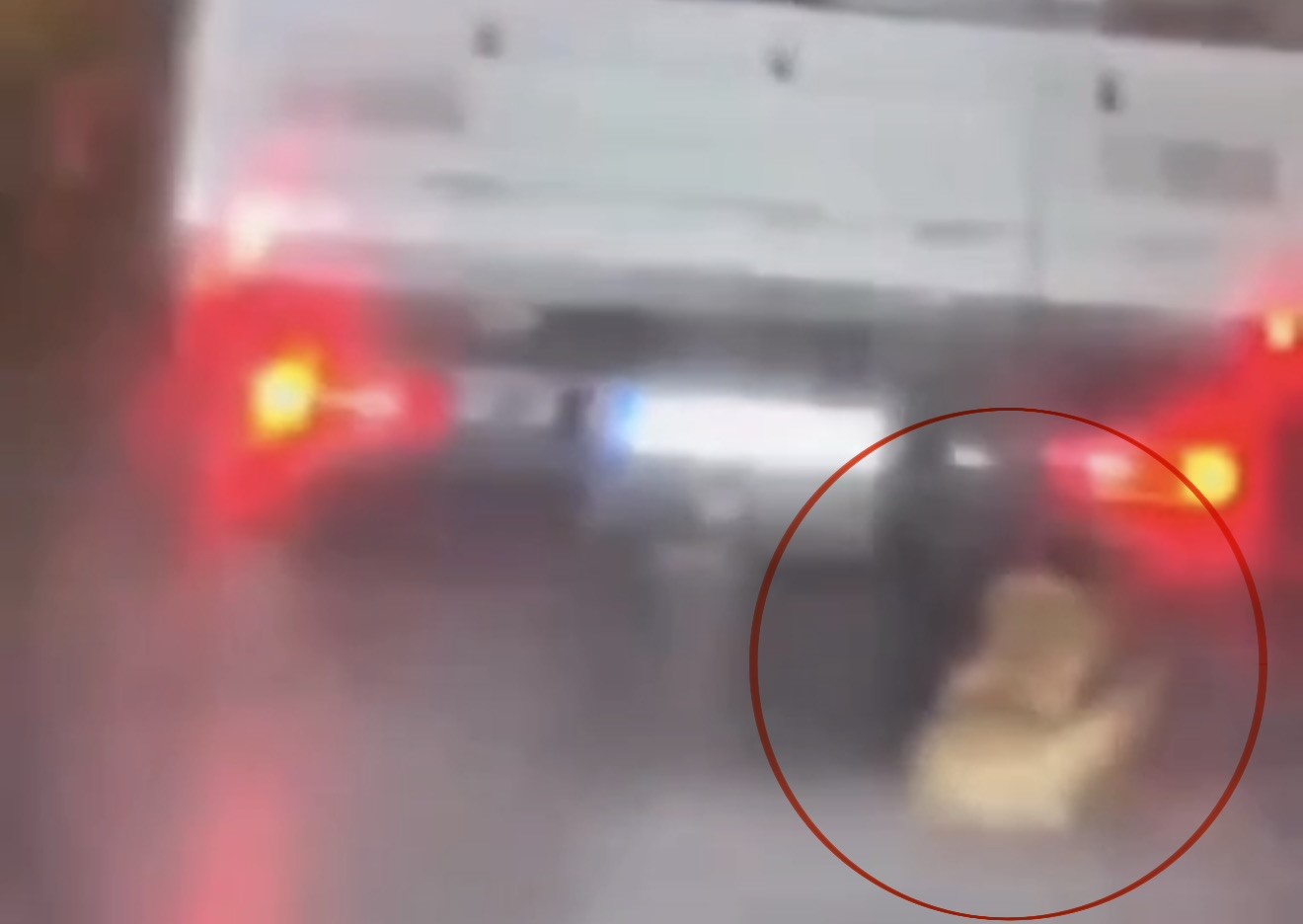 Köpeği kamyonetin arkasında sürükleyen şahıs gözaltına alındı