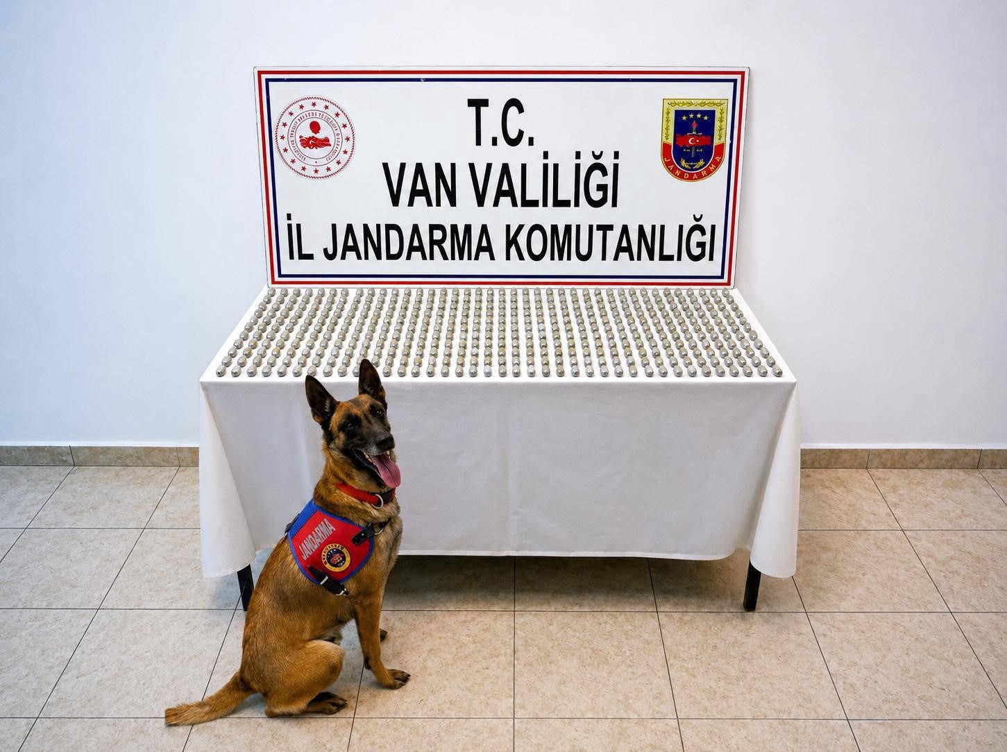 Van’da 8 İranlı’nın midesinde 3 kilo esrar ele geçirildi