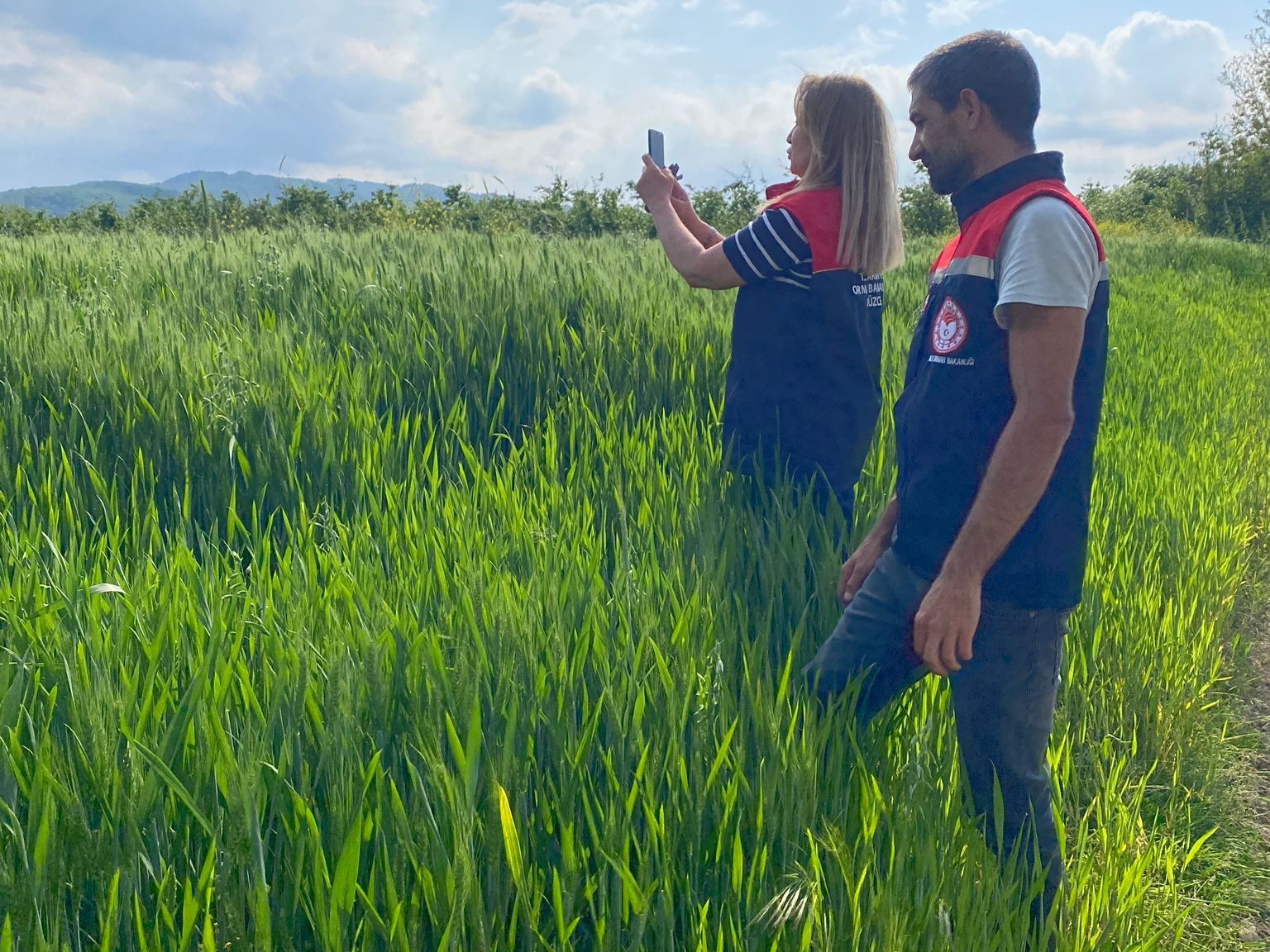 D&uuml;zce&rsquo;de tarım arazileri uydu destekli denetleniyor
