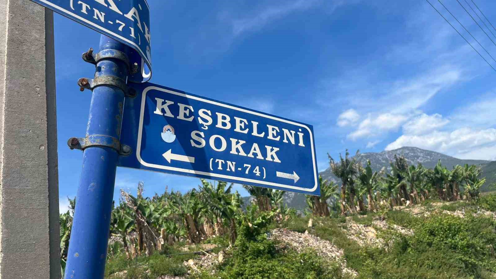 Belediye çalışanlarından örnek davranış: Çöp konteynerinde ölüme terk edilen kaplumbağayı kurtardılar