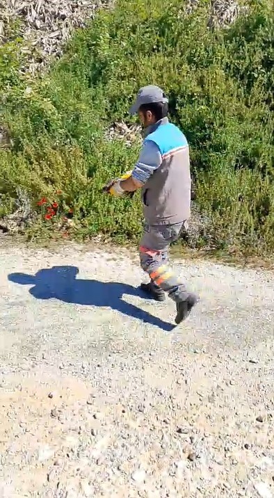 Belediye çalışanlarından örnek davranış: Çöp konteynerinde ölüme terk edilen kaplumbağayı kurtardılar