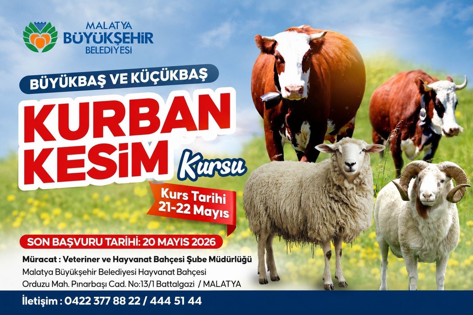 "İslami usullere uygun ve güvenli kurban kesimi" eğitimi verilecek