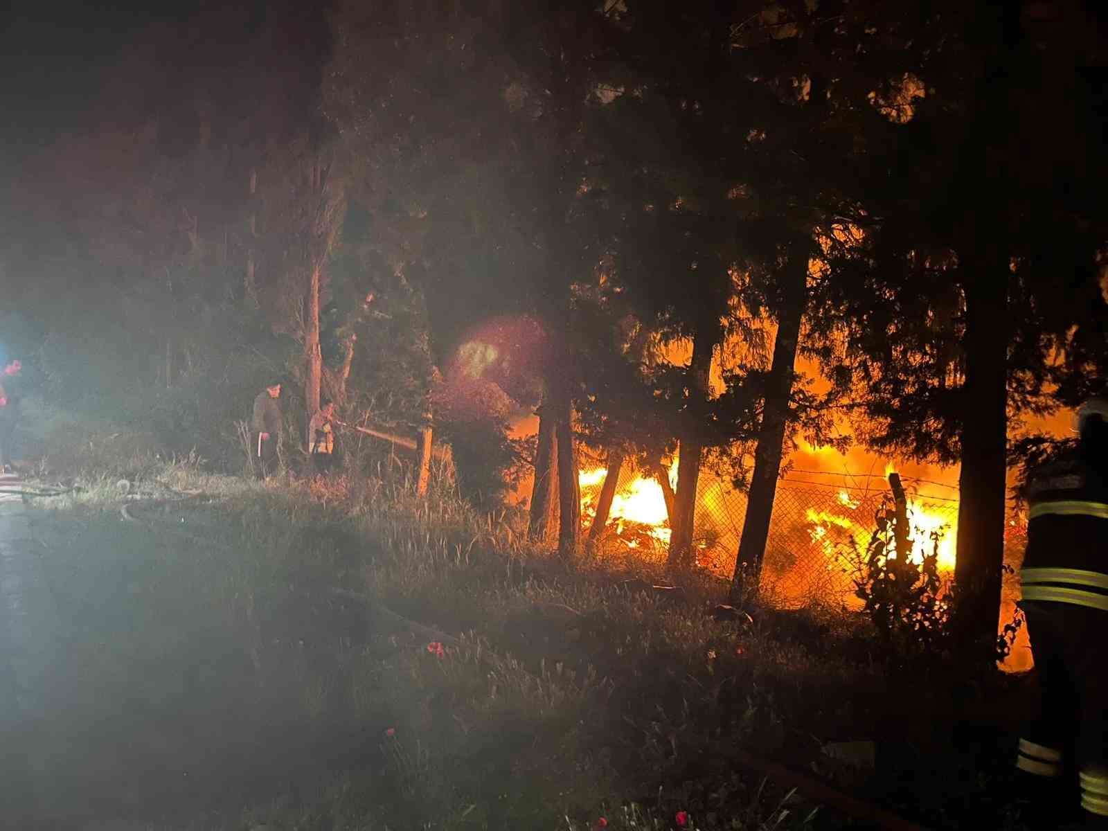 Arsuz&rsquo;da ağa&ccedil;lık alan alevlere teslim oldu
