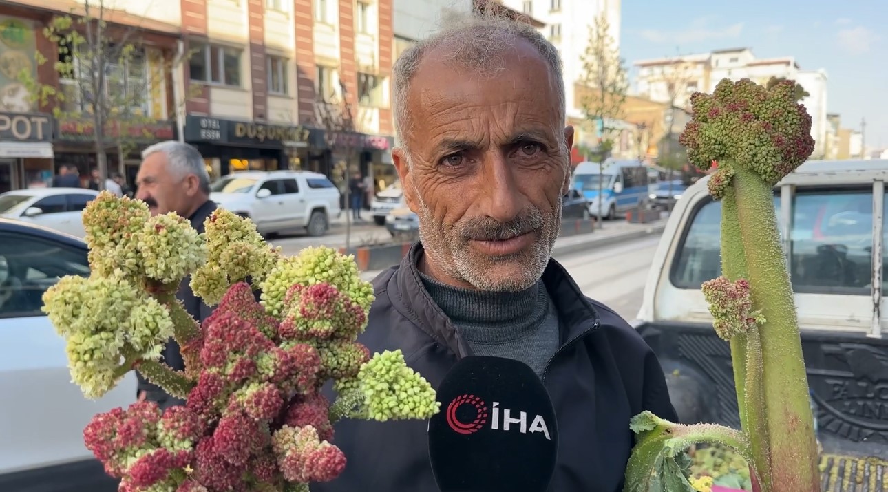 Sınırdan getirilen u&ccedil;kunlar Y&uuml;ksekova&rsquo;da satışa sunuldu
