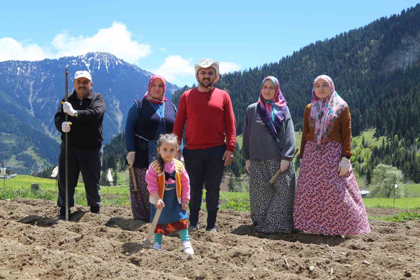 Artvin’de 1400 rakımda imece usulü doğal tarım
