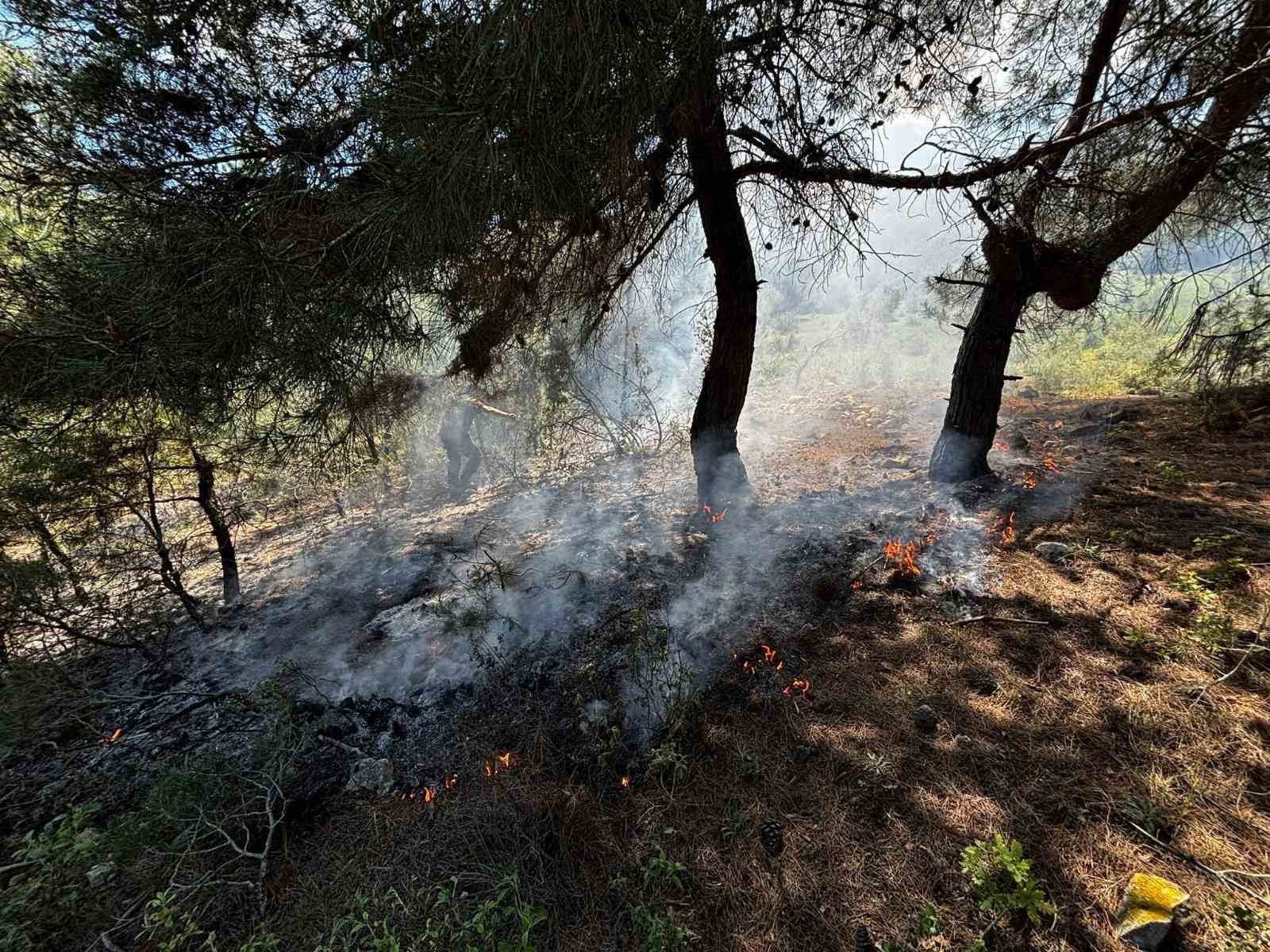 Bilecik’te ormanlık alanda yangın çıktı
