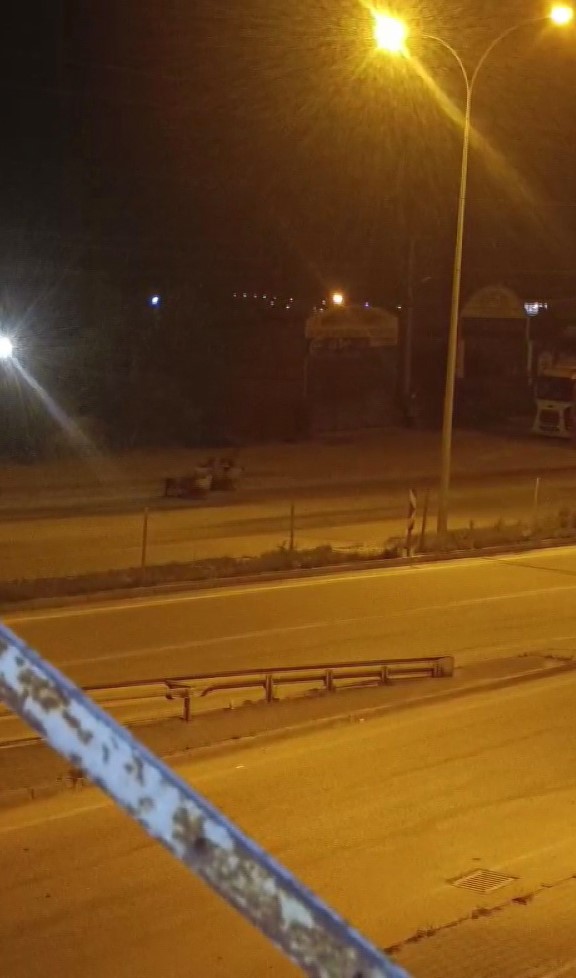 Firari koyun s&uuml;r&uuml;s&uuml; kara yoluna &ccedil;ıkıp, &uuml;st ge&ccedil;idi kullandı
