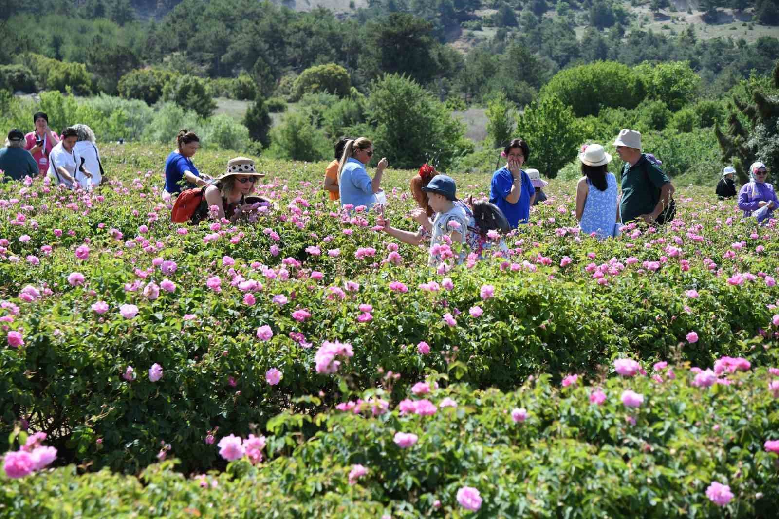 Gülün diyarı Isparta’da festival coşkusu yaşanacak