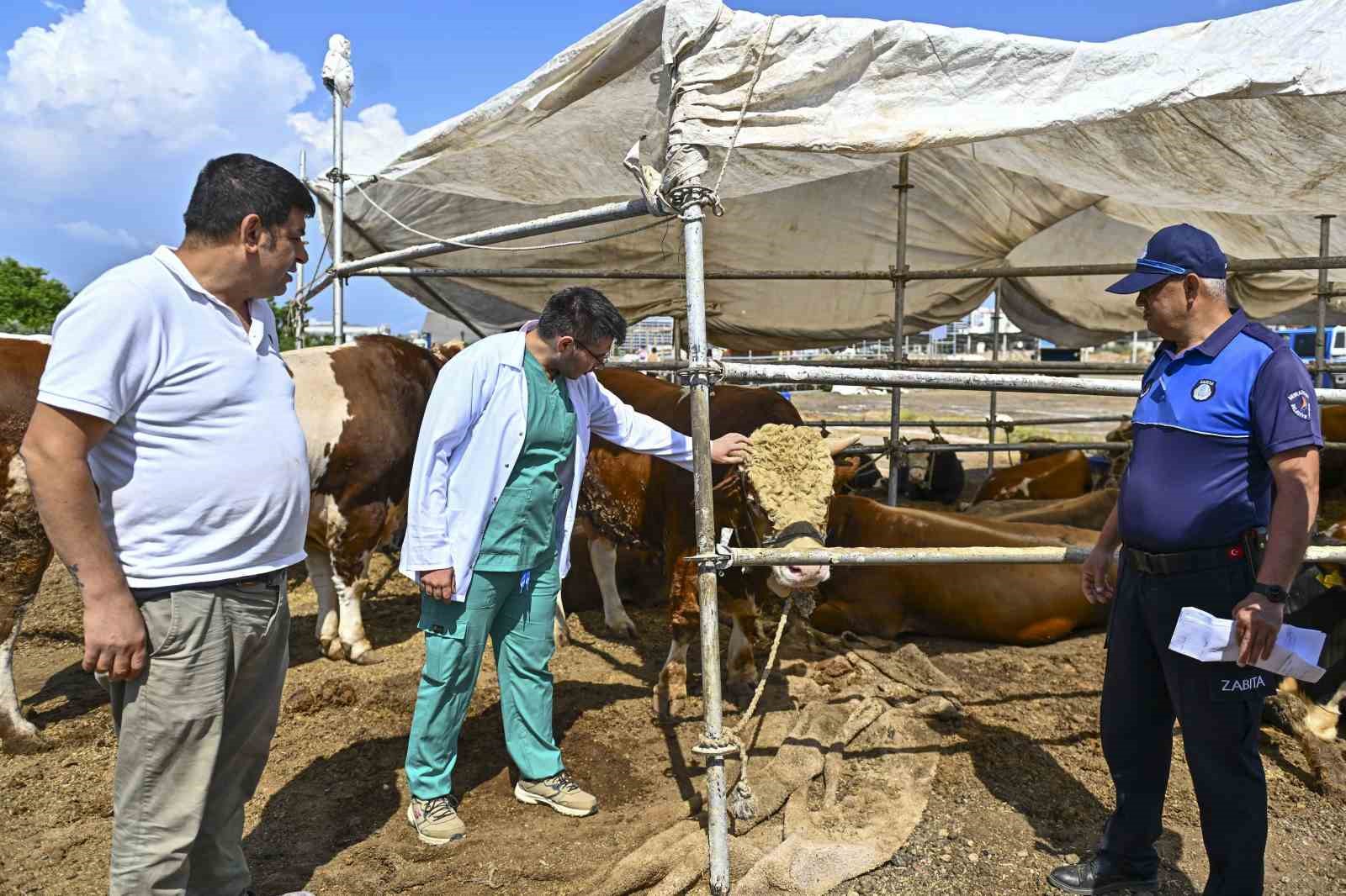 Muratpaşa&rsquo;da Kurban Bayramı hazırlıkları tamamlandı
