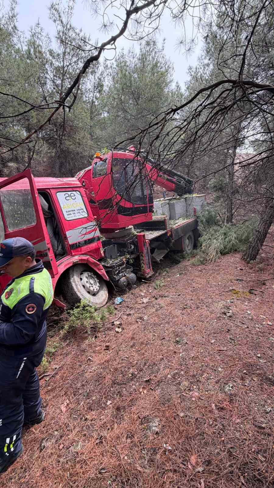 Yoldan çıkan vinç ormanlık alana daldı