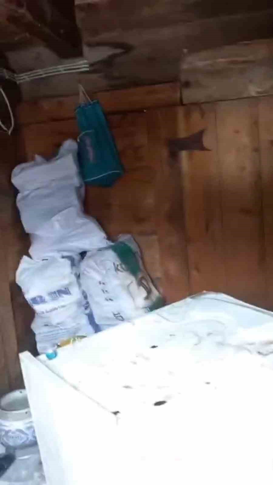 Anahtarın yerini tarif etti, evine giren ayıya "Zarar verme" diye seslendi
