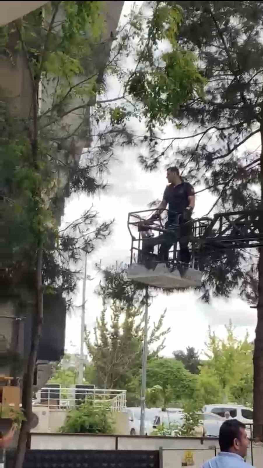 Ağaçta mahsur kalan kediyi itfaiye kurtardı
