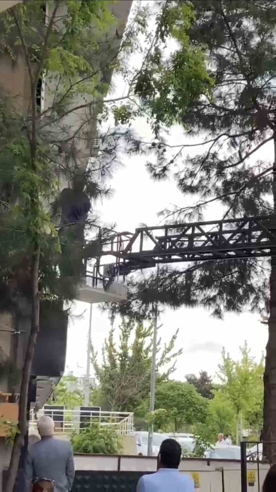 Ağa&ccedil;ta mahsur kalan kediyi itfaiye kurtardı
