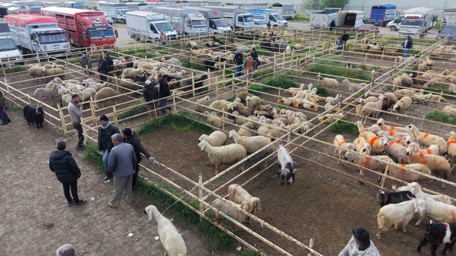 Aksaray&rsquo;da hayvan pazarında kurban hareketliliği yaşanıyor
