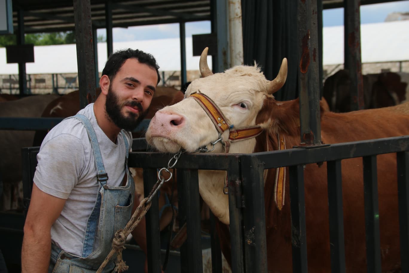 Denizli kurban pazarı müşterilerini bekliyor