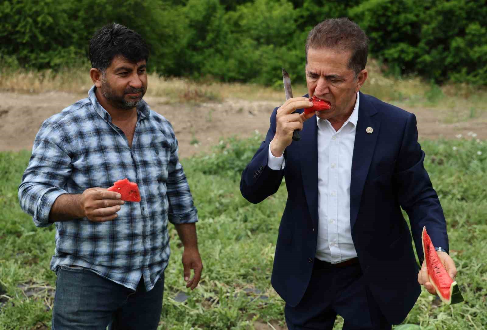 Tescilli Adana karpuzunda hasat başladı