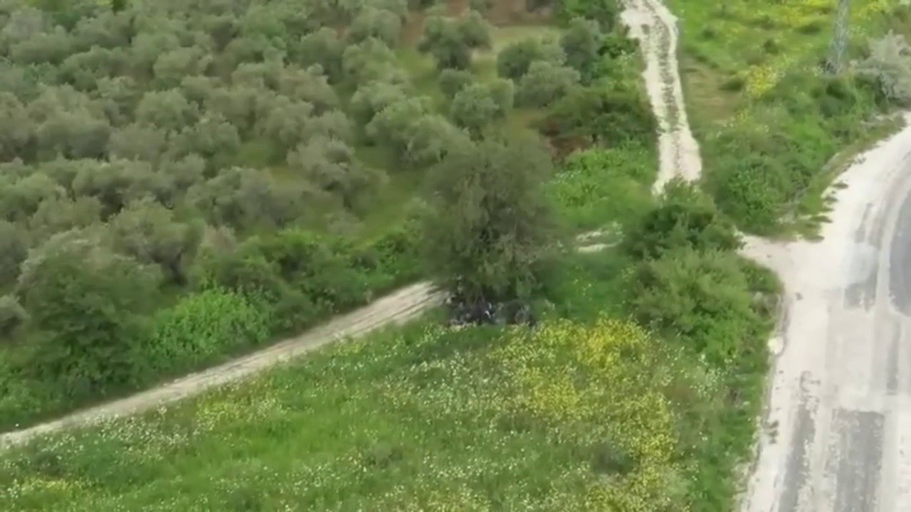 Ağaç altında gizlenmeye çalışan göçmenler dronla yakalandı