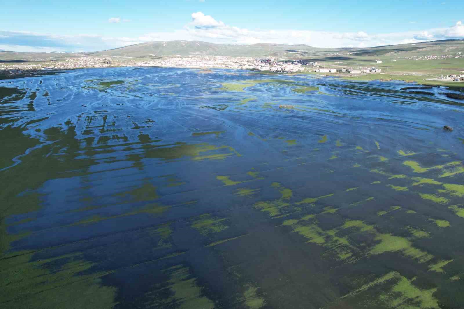 Sular altında kalan Ardahan Ovası havadan görüntülendi