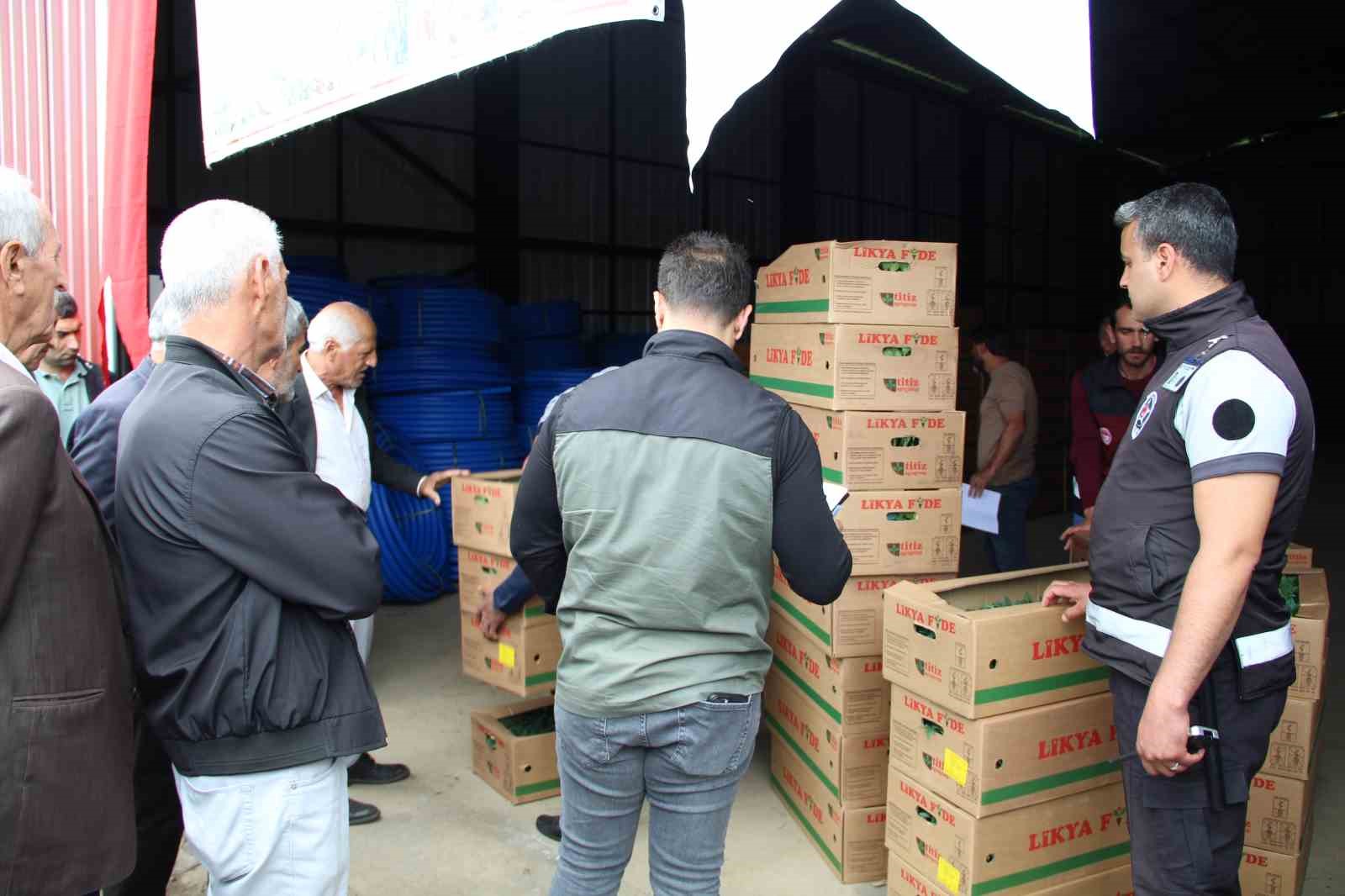 Bing&ouml;l&rsquo;de 330 bin sebze fidesi &uuml;reticilere dağıtıldı

