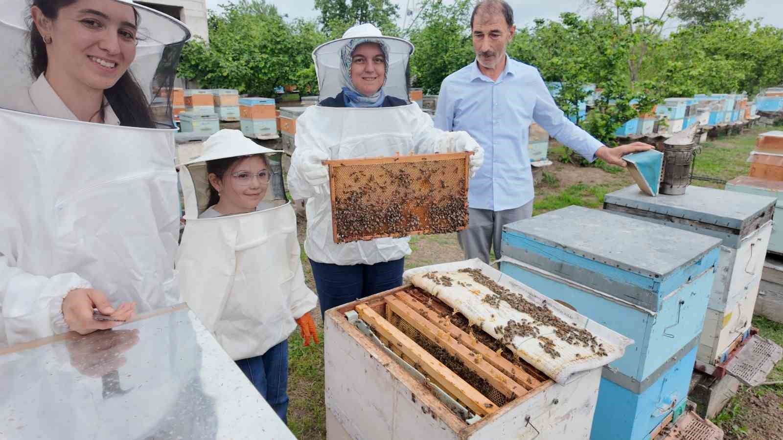 Genç kadın girişimciden 350 kovanlık başarı