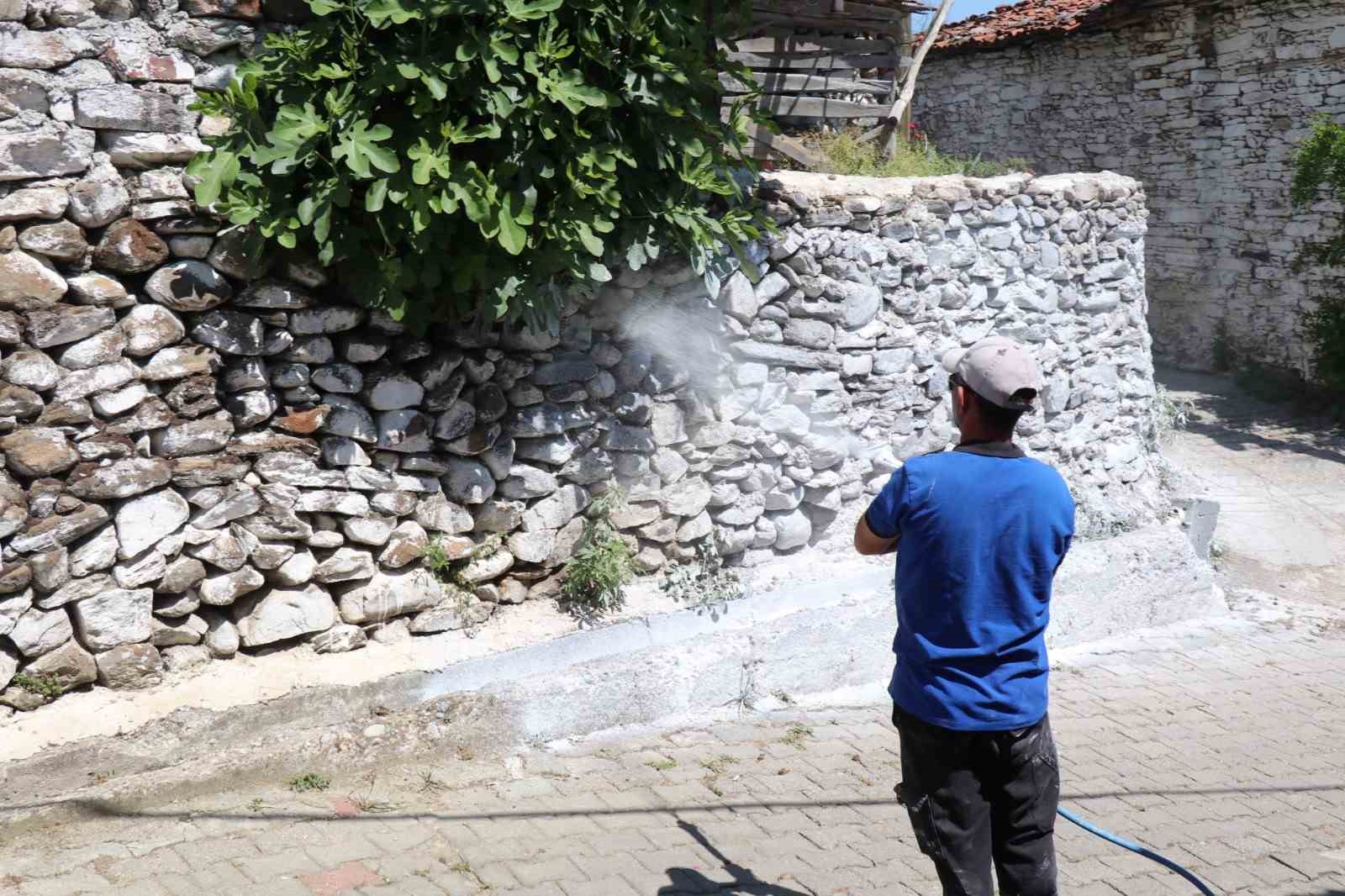 Bozdoğan’da haşereye karşı kireçleme çalışmaları sürüyor