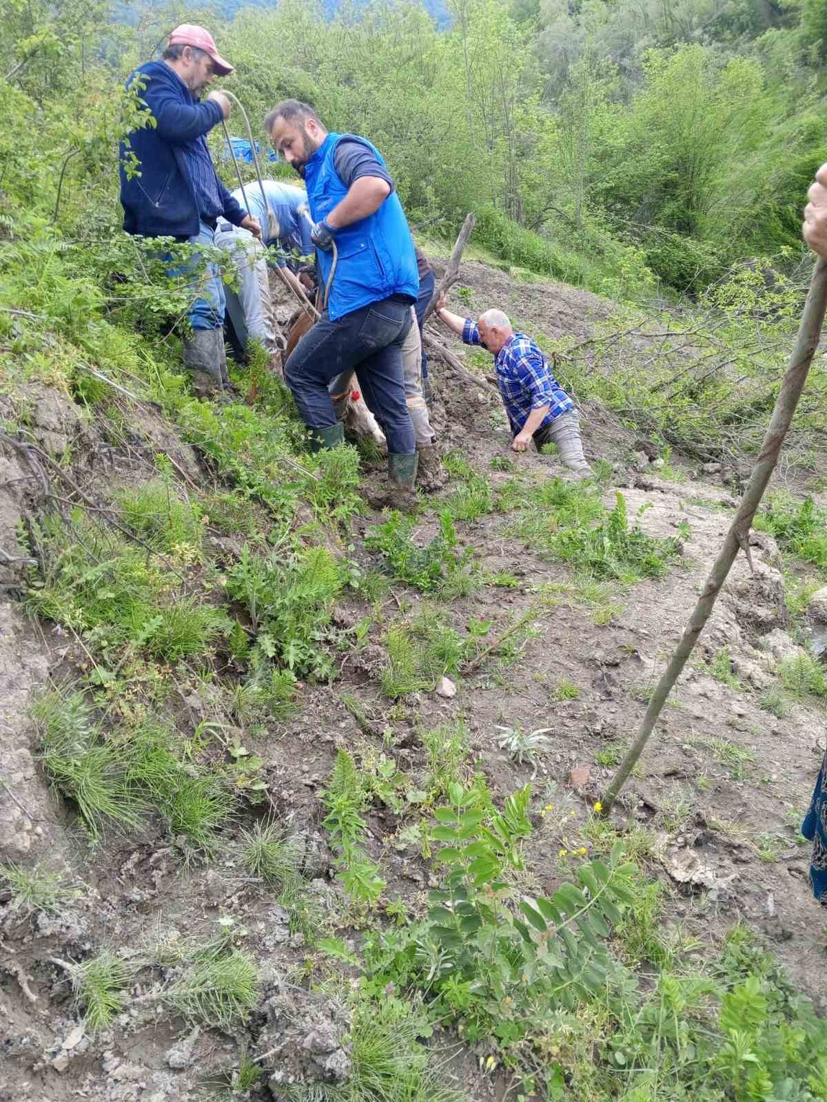&Ccedil;amura saplanan b&uuml;y&uuml;kbaş hayvanı vatandaşlar kurtardı
