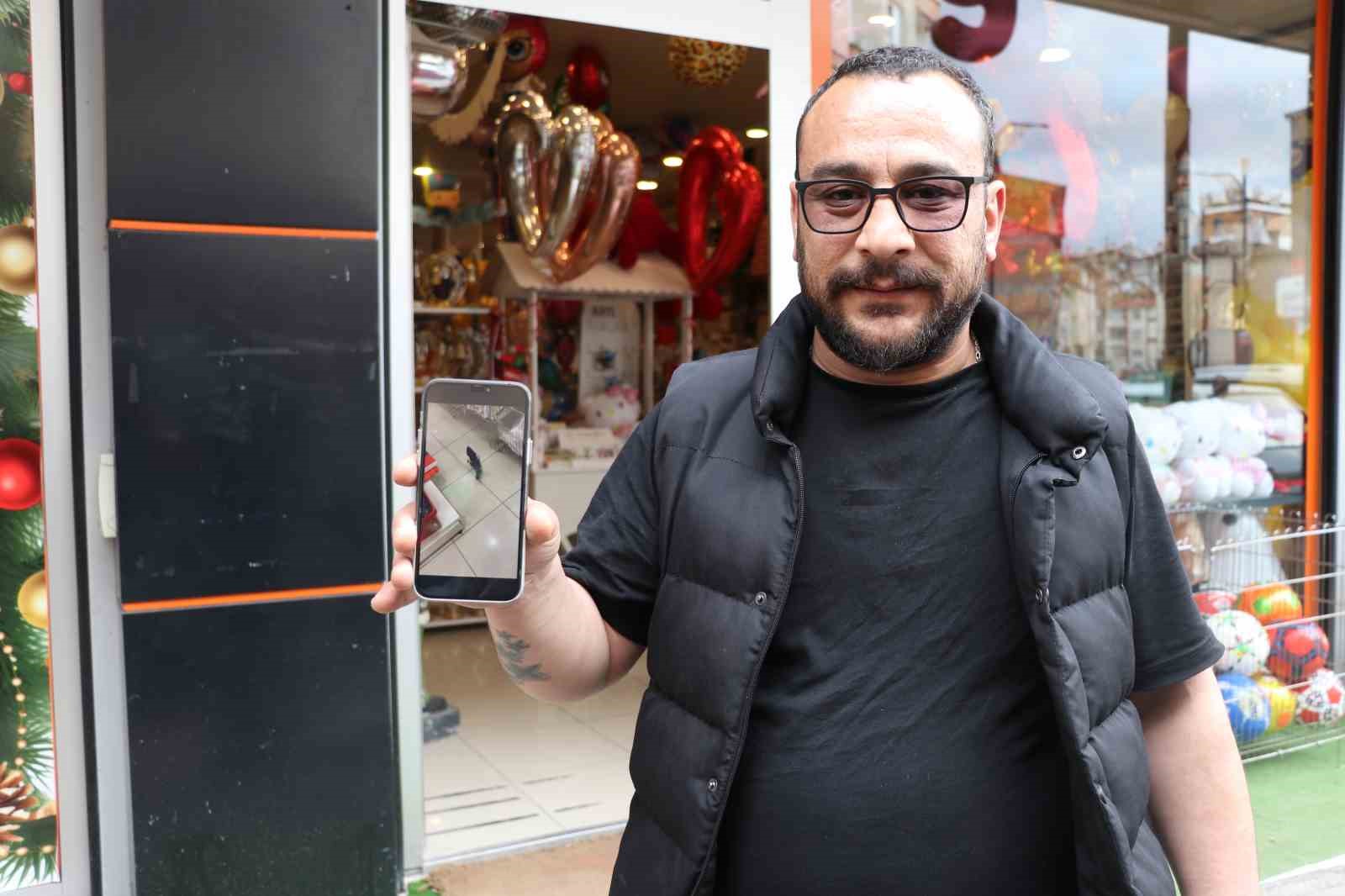 Yağmurdan kaçan yavru karga iş yerine sığındı