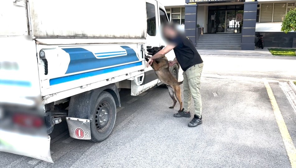 Batman’da 20 kilo skunk ele geçirildi