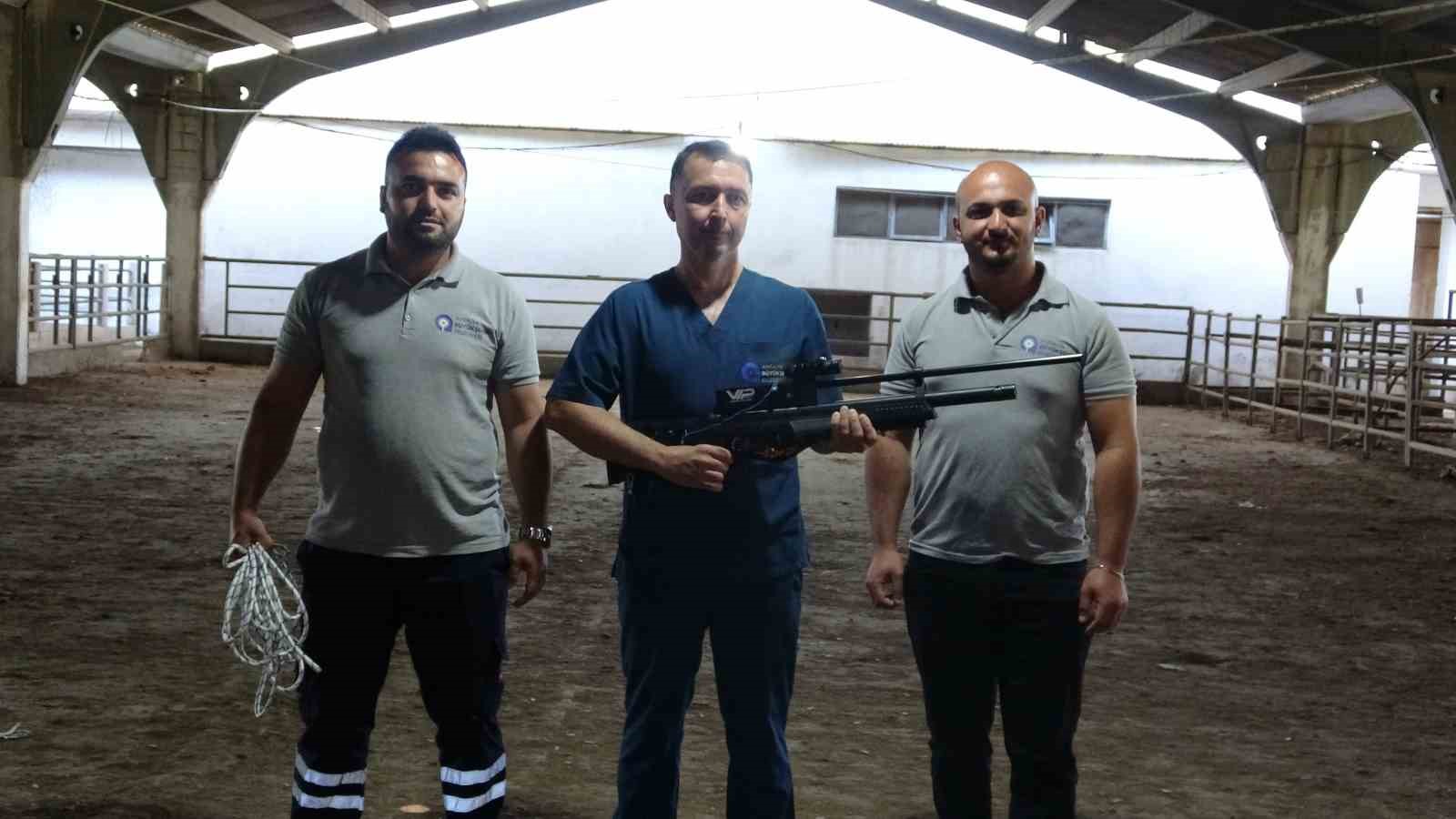 Antalya’da kaçan kurbanlıklar için kurulan "Kurban Yakalama Timi" göreve hazır