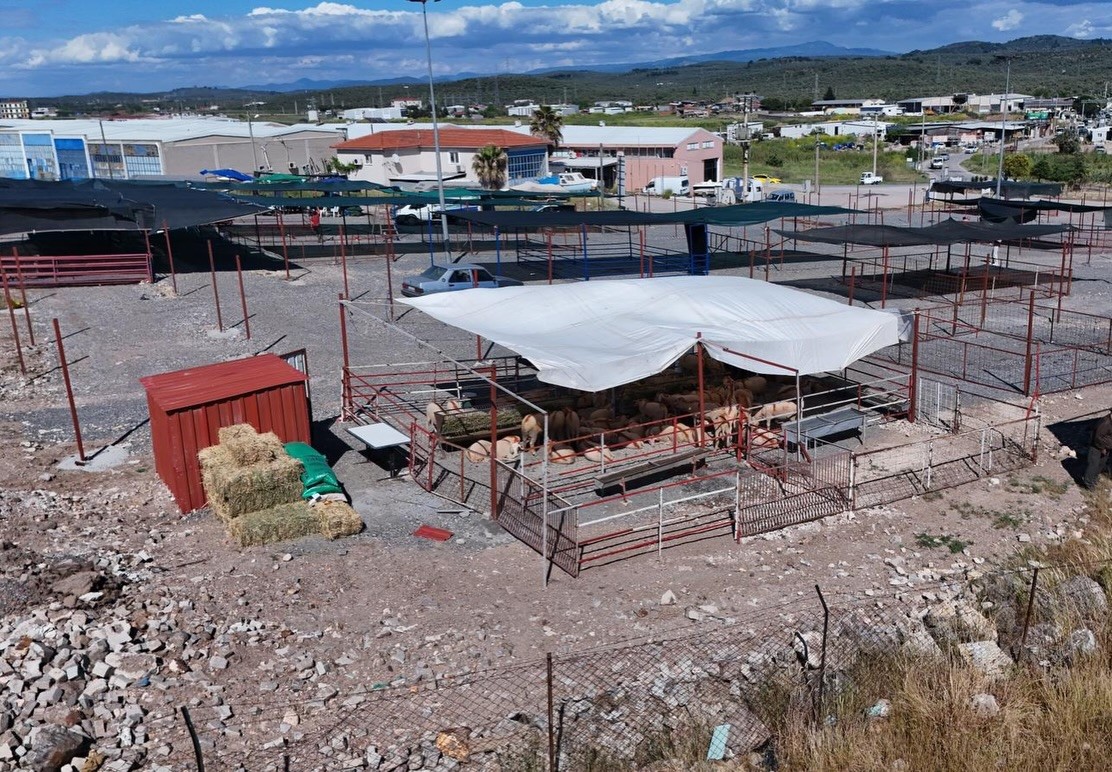 Ayvalık’ta kurban pazarı hizmete açıldı