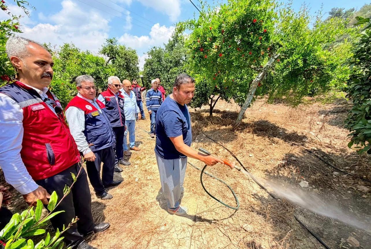 Akdeniz meyve sineğiyle mücadele kesintisiz sürüyor