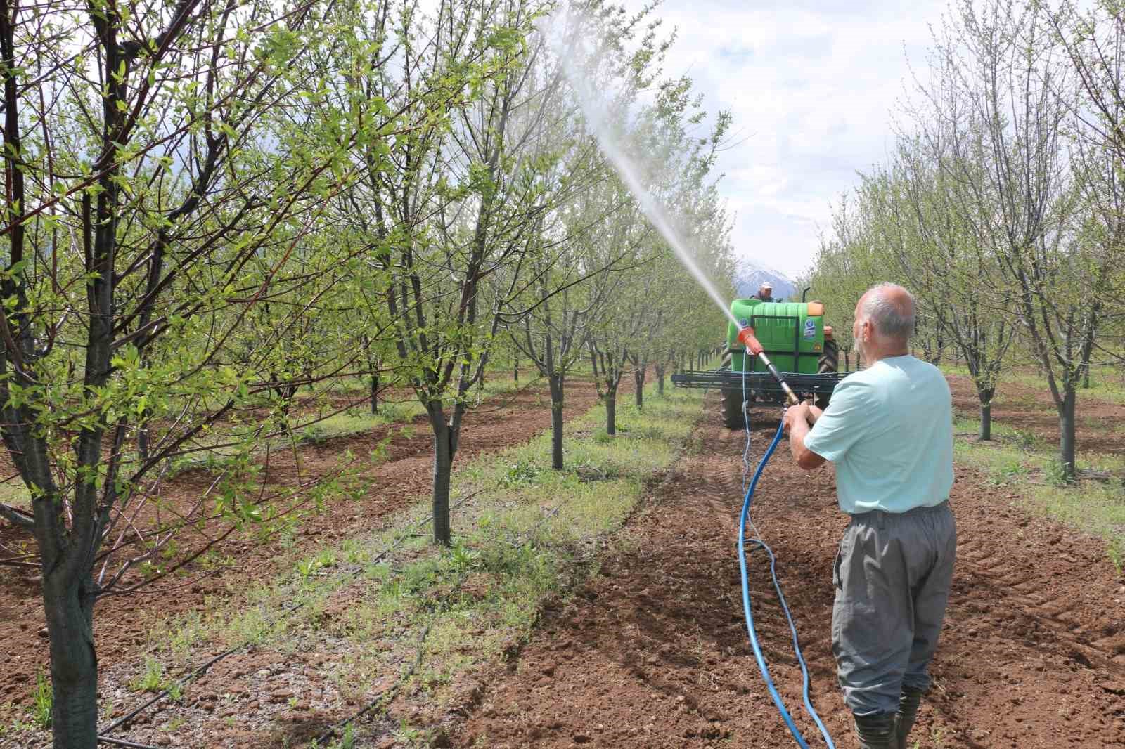 Erzincan&rsquo;da meyve &uuml;reticilerine yağış sonrası ila&ccedil;lama uyarısı
