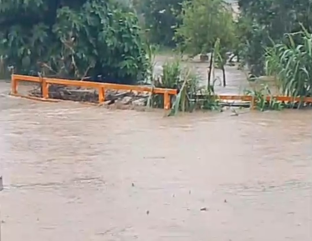 Dere taştı, sel bah&ccedil;e kapılarını s&uuml;r&uuml;kledi
