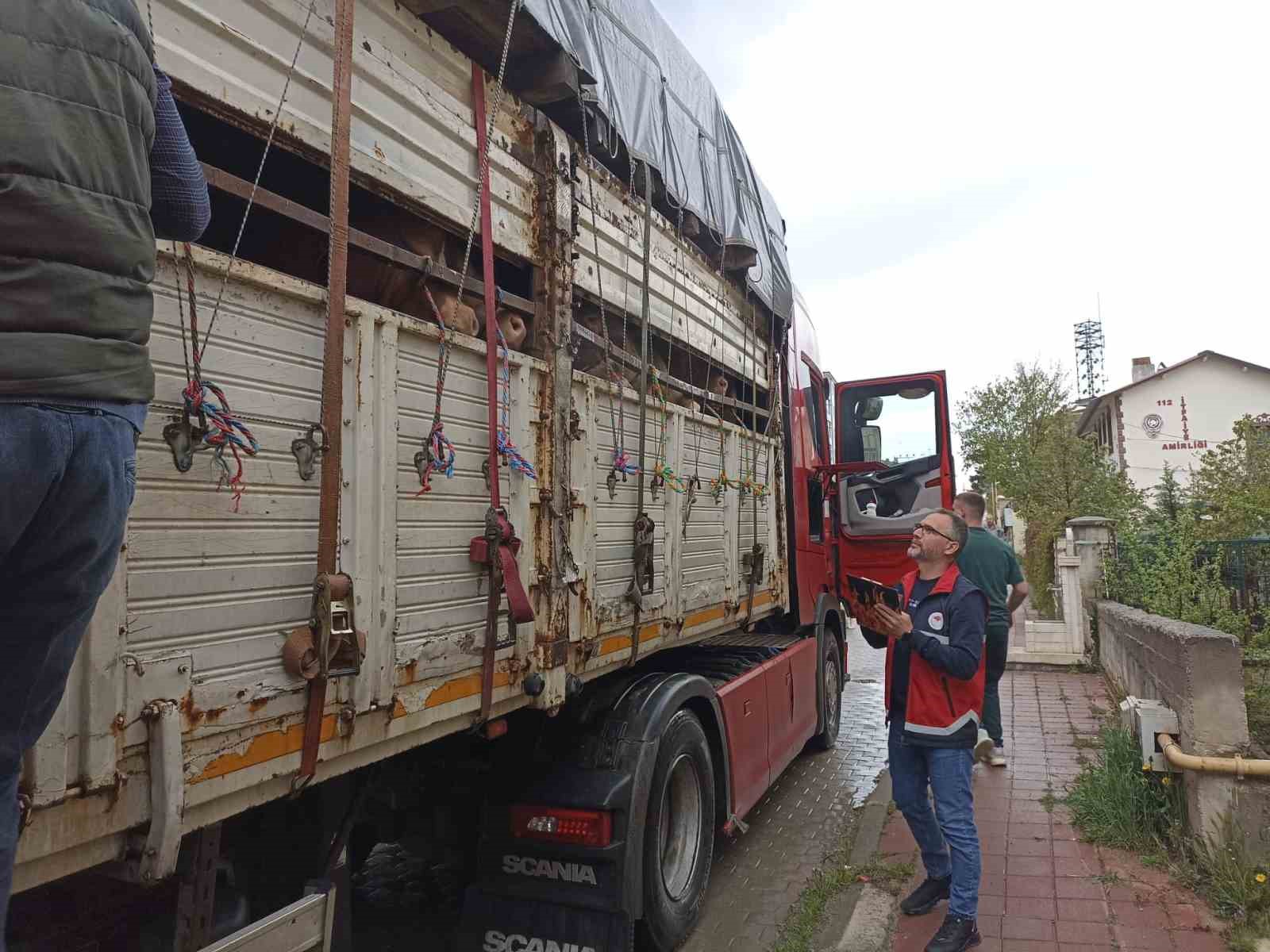Kastamonu&rsquo;da kurbanlık sevklerine sıkı denetim

