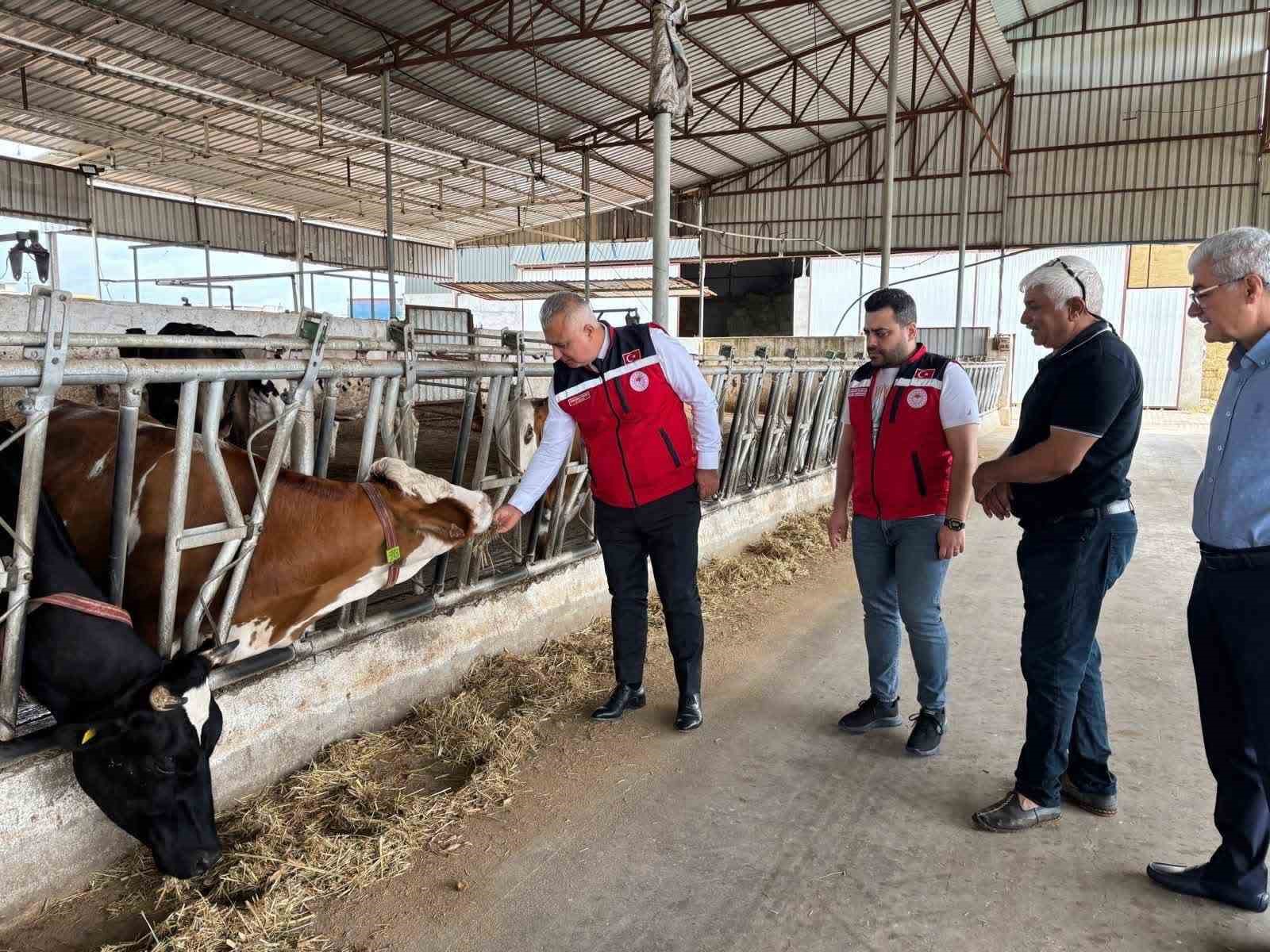 Kurban Bayramı &ouml;ncesi hayvan satış yerlerinde sıkı denetim

