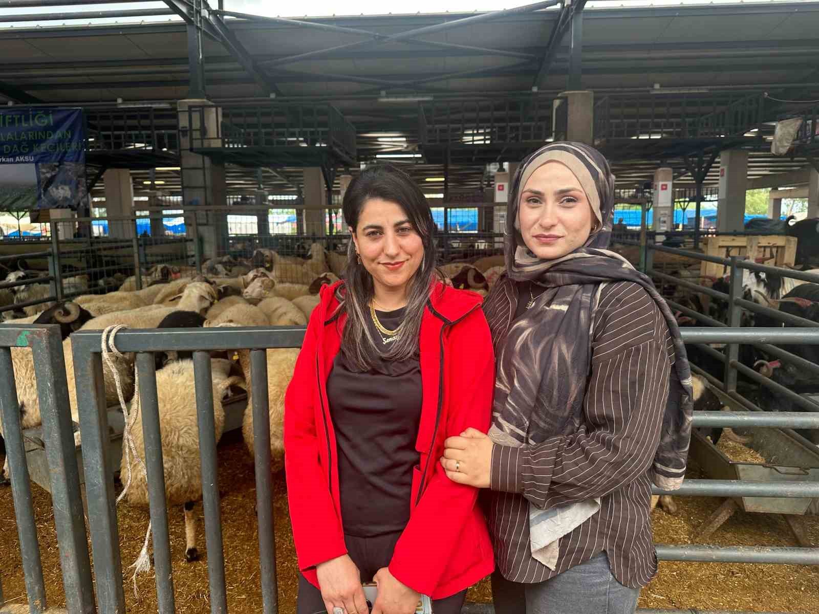 İki genç kuzen celep, Bursa’daki kurban pazarında rekabeti artırdı