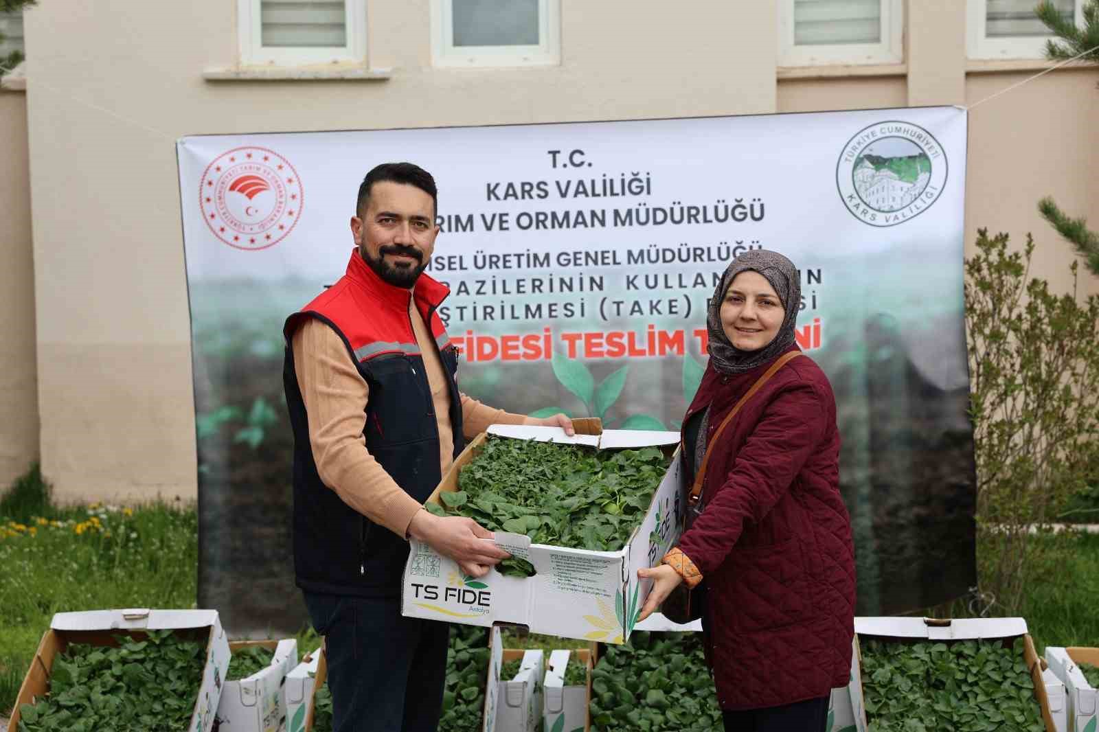Kars&rsquo;ta sebze &uuml;retimine destek: Binlerce fide &uuml;reticiyle buluştu
