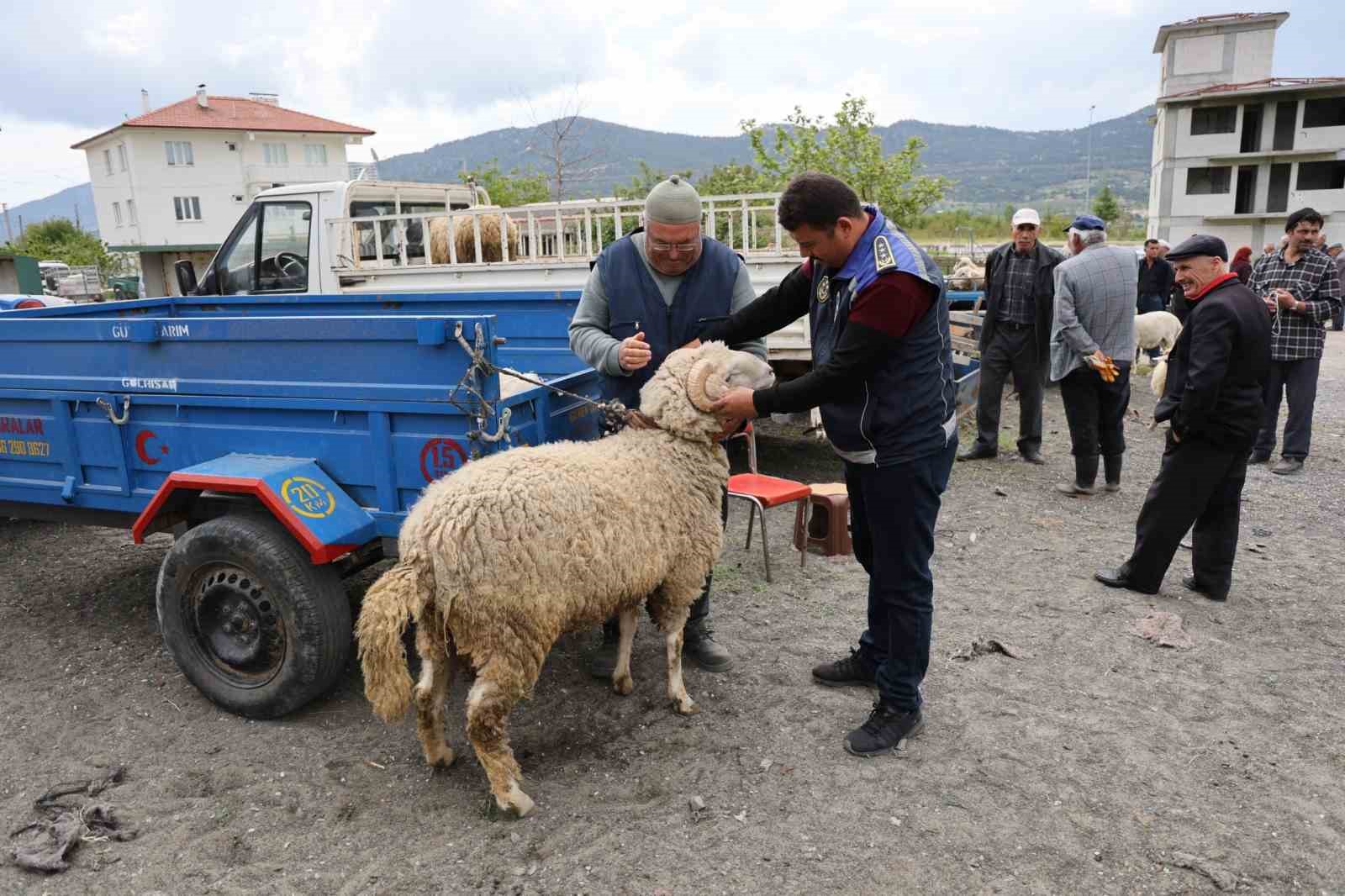 Çameli Kurban Pazarında bayram yoğunluğu ve sıkı denetim başladı