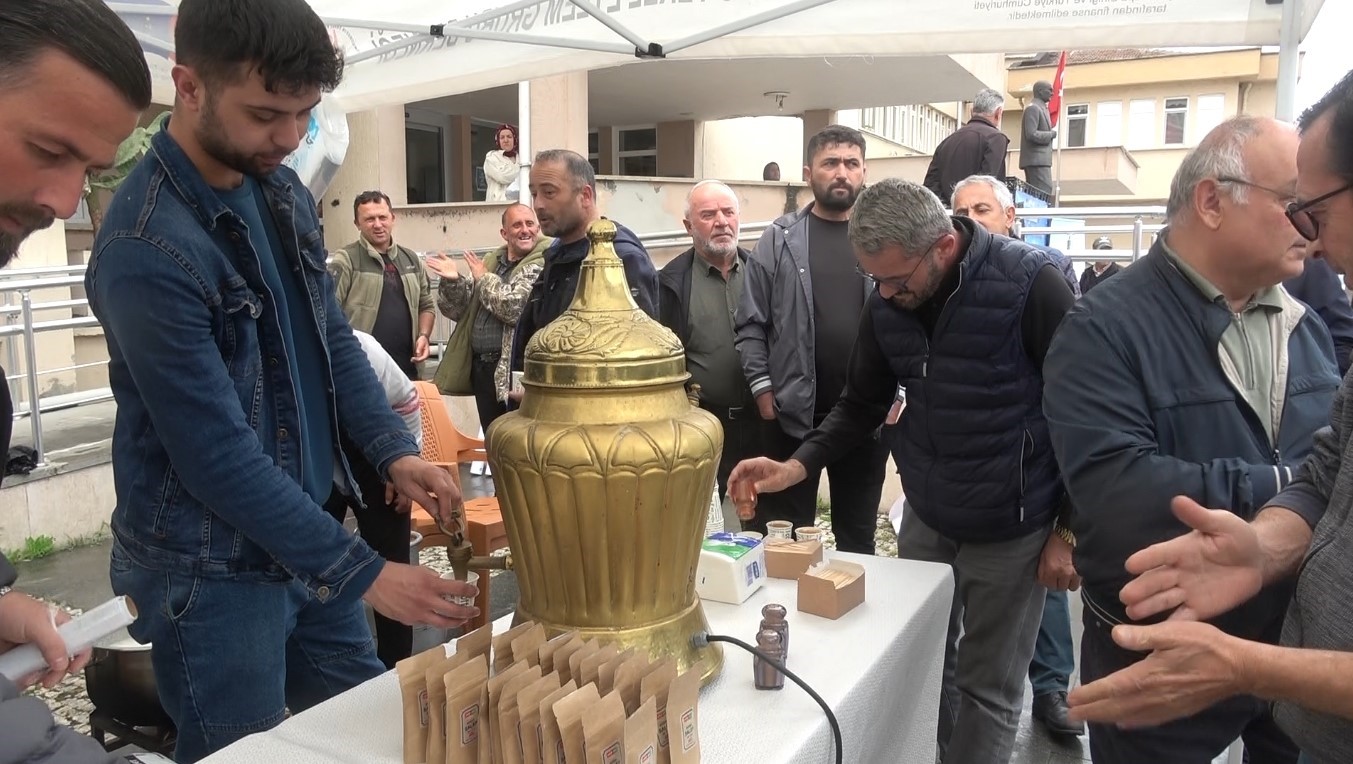 Doğadan tarlaya salep yolculuğu Samsun&rsquo;da b&uuml;y&uuml;yor
