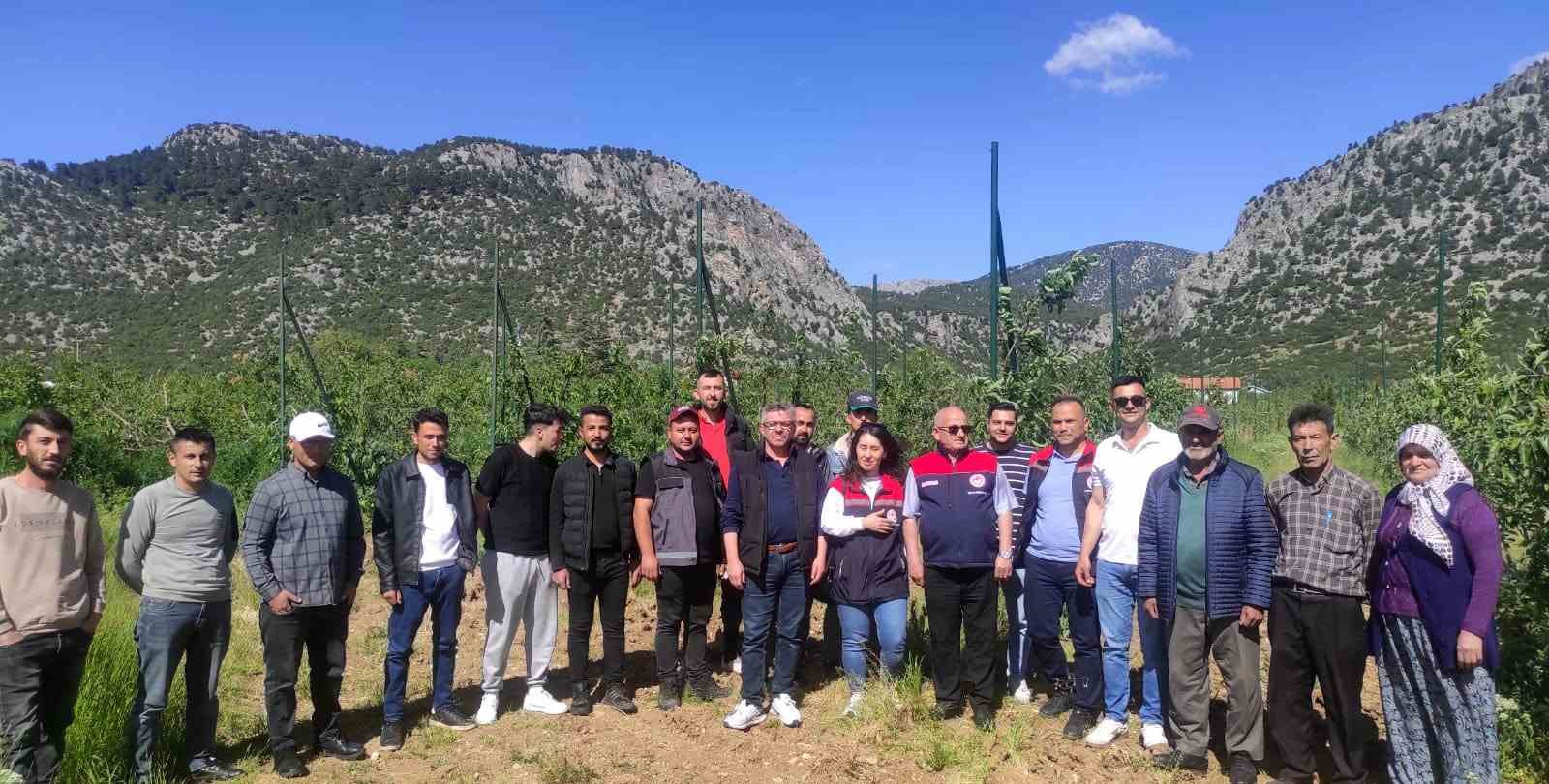 Eğirdir’de budama ve aşılama kursuna yoğun ilgi