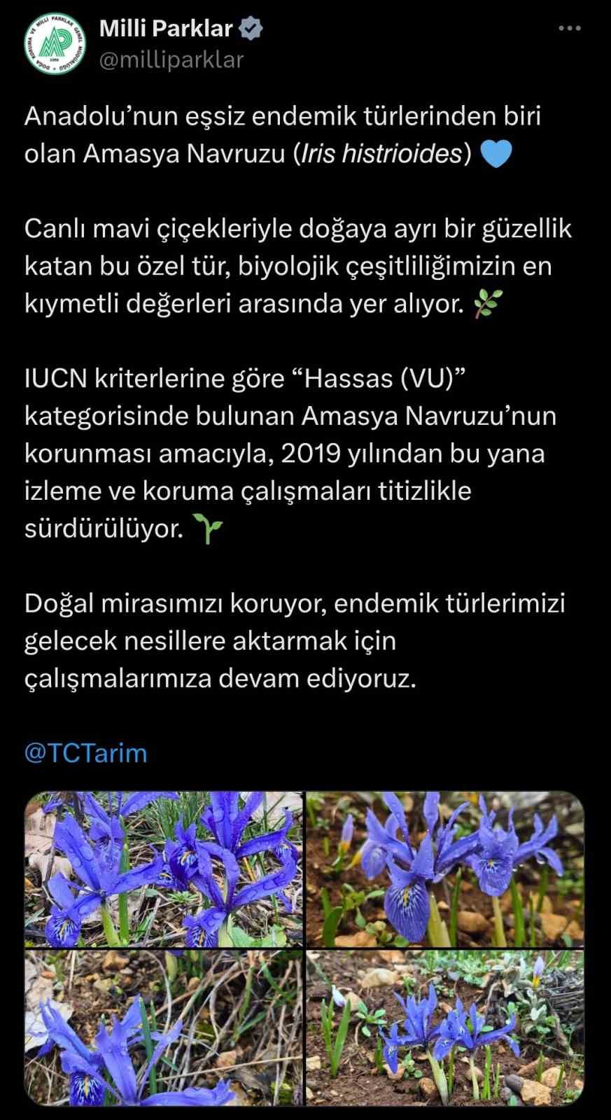 Amasya Navruzu&rsquo;nun fotoğrafları &lsquo;en kıymetli değerleri arasında&rsquo; notuyla paylaşıldı
