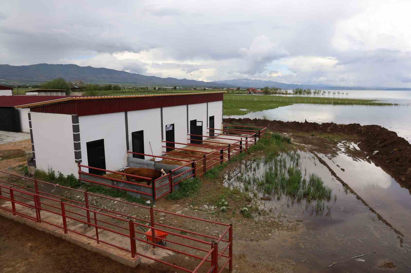 Elazığ&rsquo;da &uuml;reticiler tedirgin: &Ccedil;iftlikleri suyun altında kalmasın diye n&ouml;bet tutuyorlar
