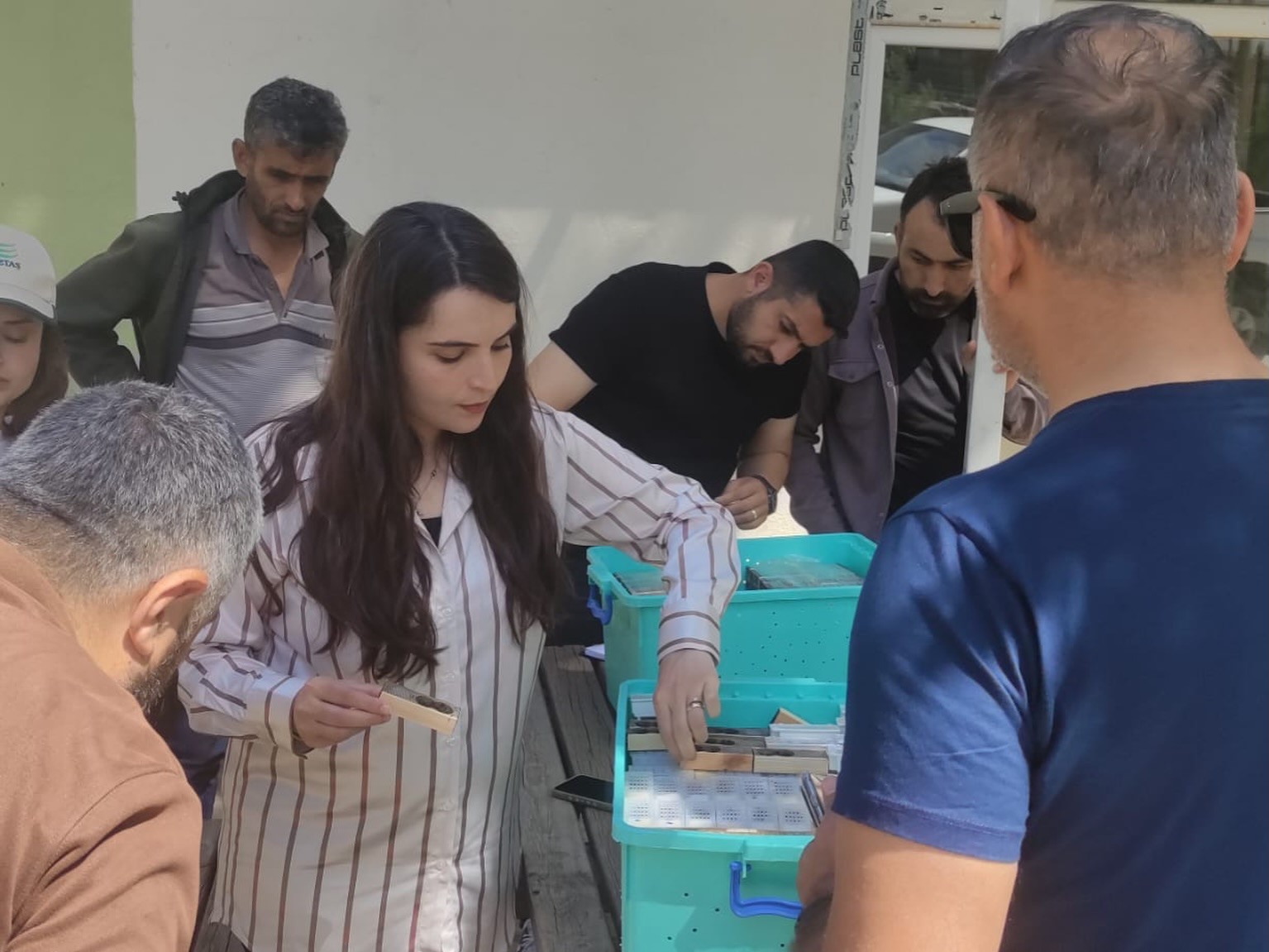 Batman&rsquo;da arıcılara ana arı desteği verildi
