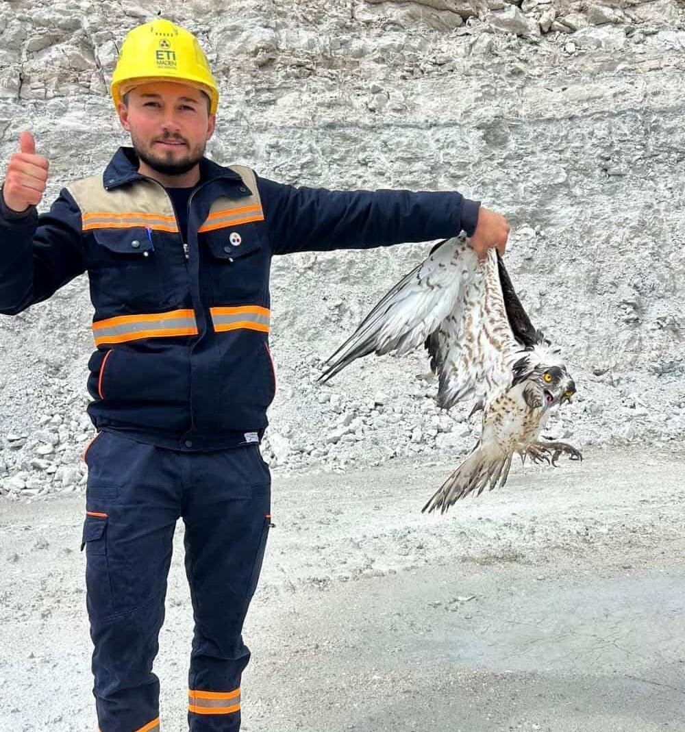 Hisarcık&rsquo;ta maden sahasında bitkin halde bulunan balık kartalı tedavi altına alındı
