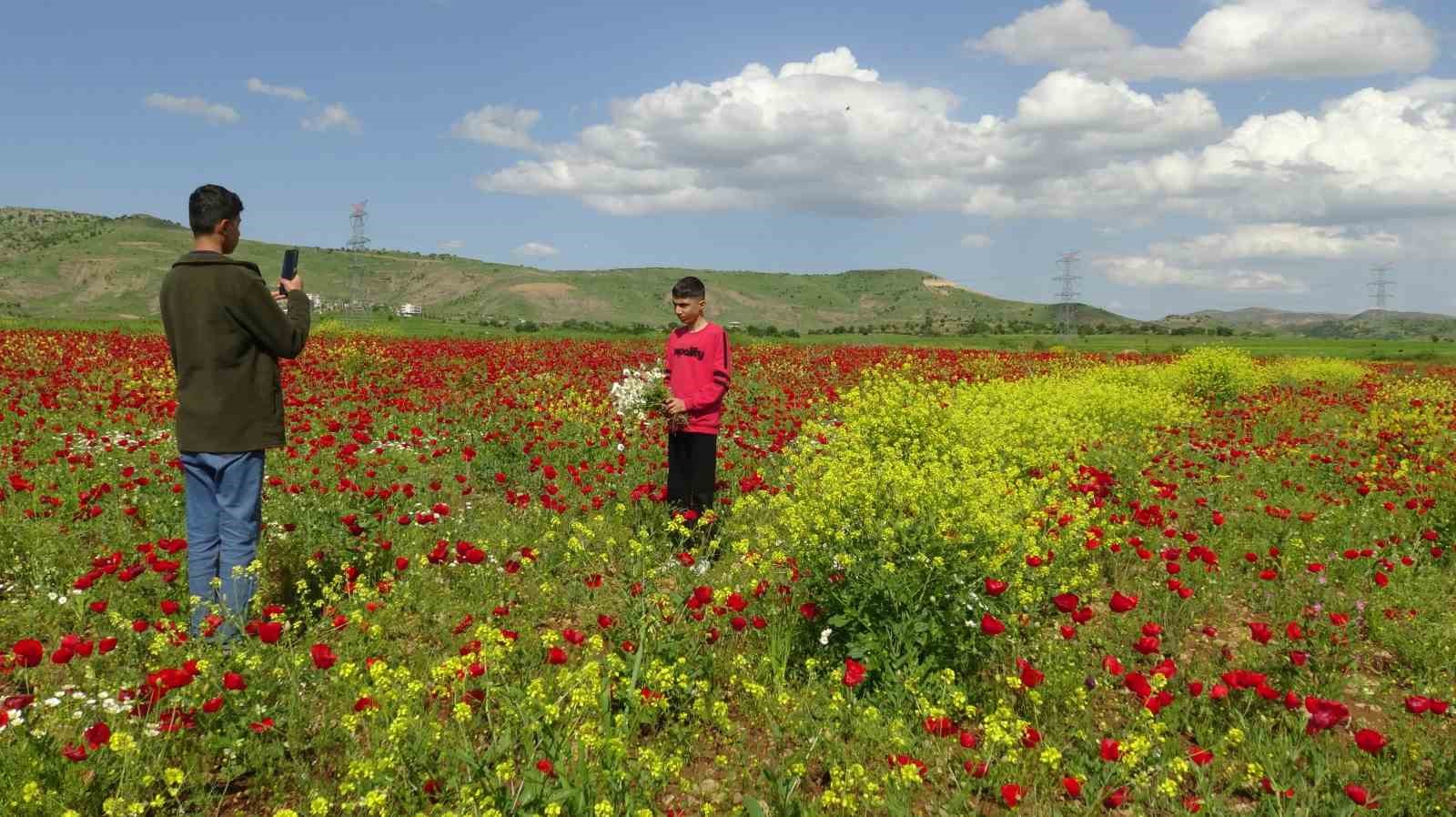 Gerc&uuml;ş Ovası kırmızıya boyandı
