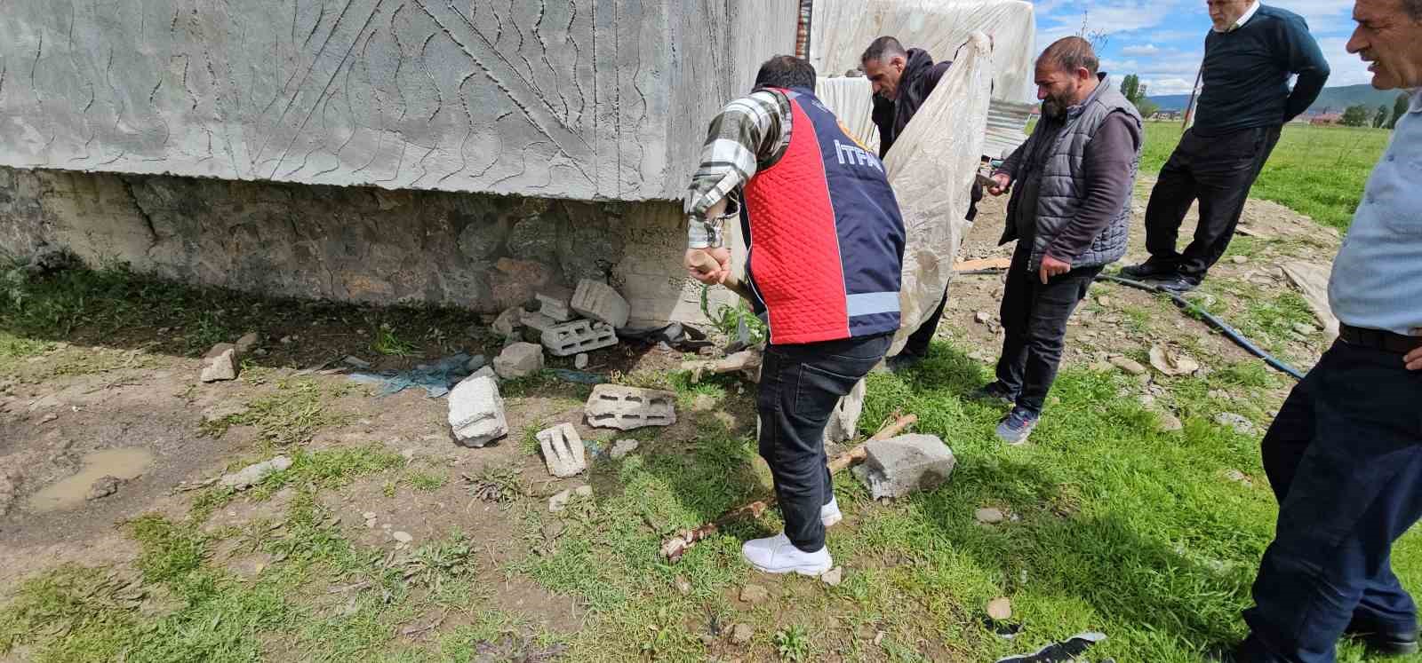 Hasköy’de yılan paniği: Belediye ekipleri harekete geçti