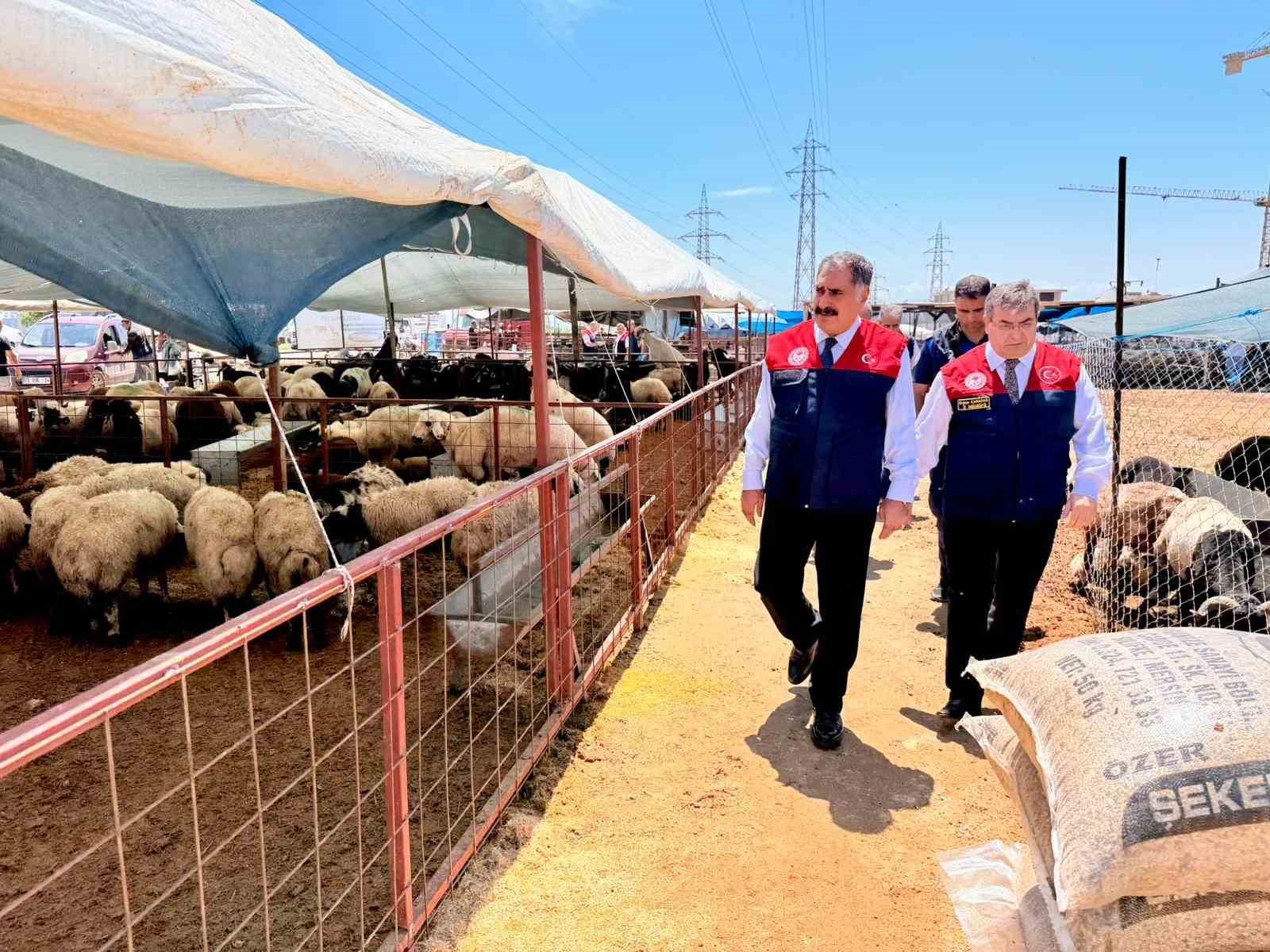 Mersin’de Kurban Bayramı öncesi satış noktalarında sıkı denetim